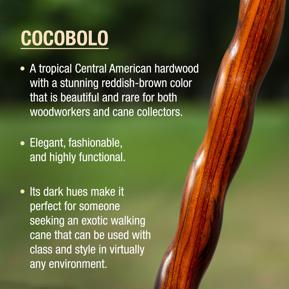 Twisted Cocobolo Traditional Handcrafted Walking Cane 37" Brazos