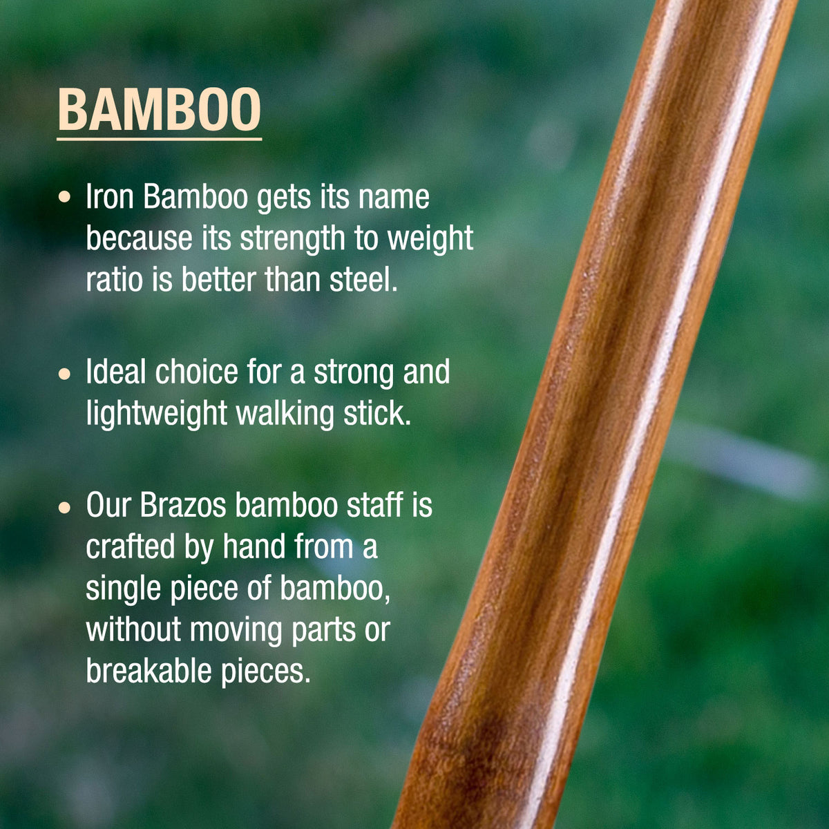 Iron Bamboo Rustic Walking Stick