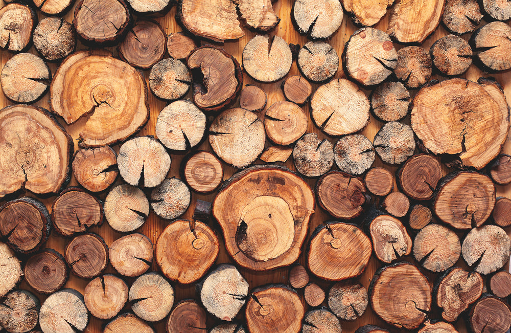 How To Choose The Best Wood