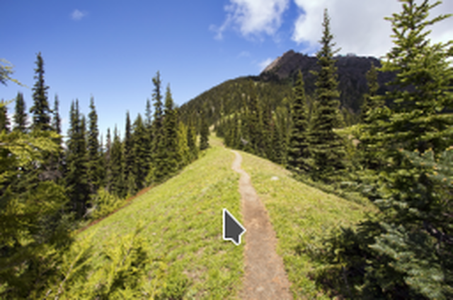 How Avid Hikers With Trekking Poles Can Confidently Explore Trails Less Traveled