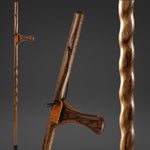 Dual Purpose Walking Stick