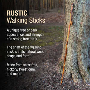 
                  
                    Hickory Rustic Walking Stick
                  
                