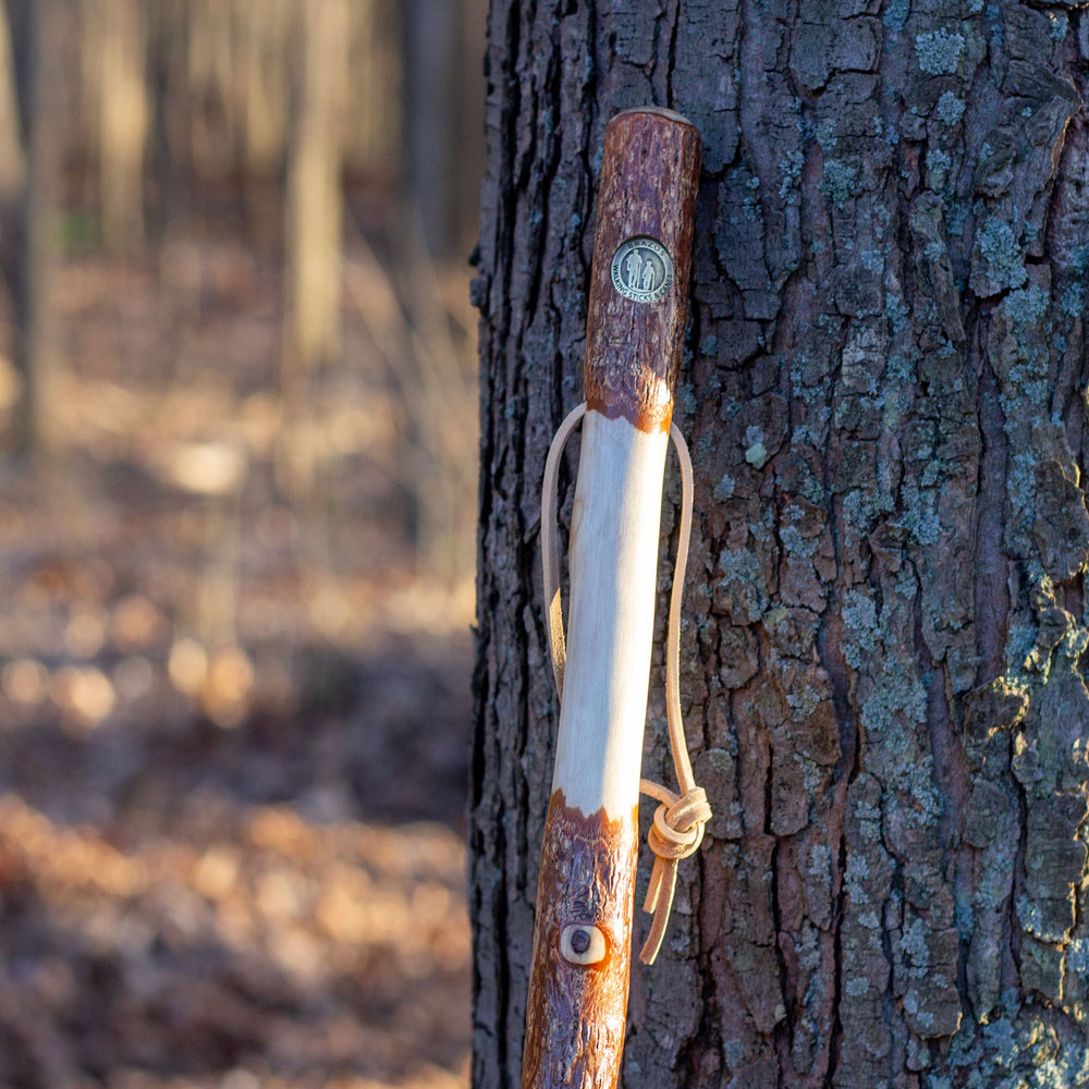 
                  
                    Twisted Sassafras Rustic Walking Stick
                  
                