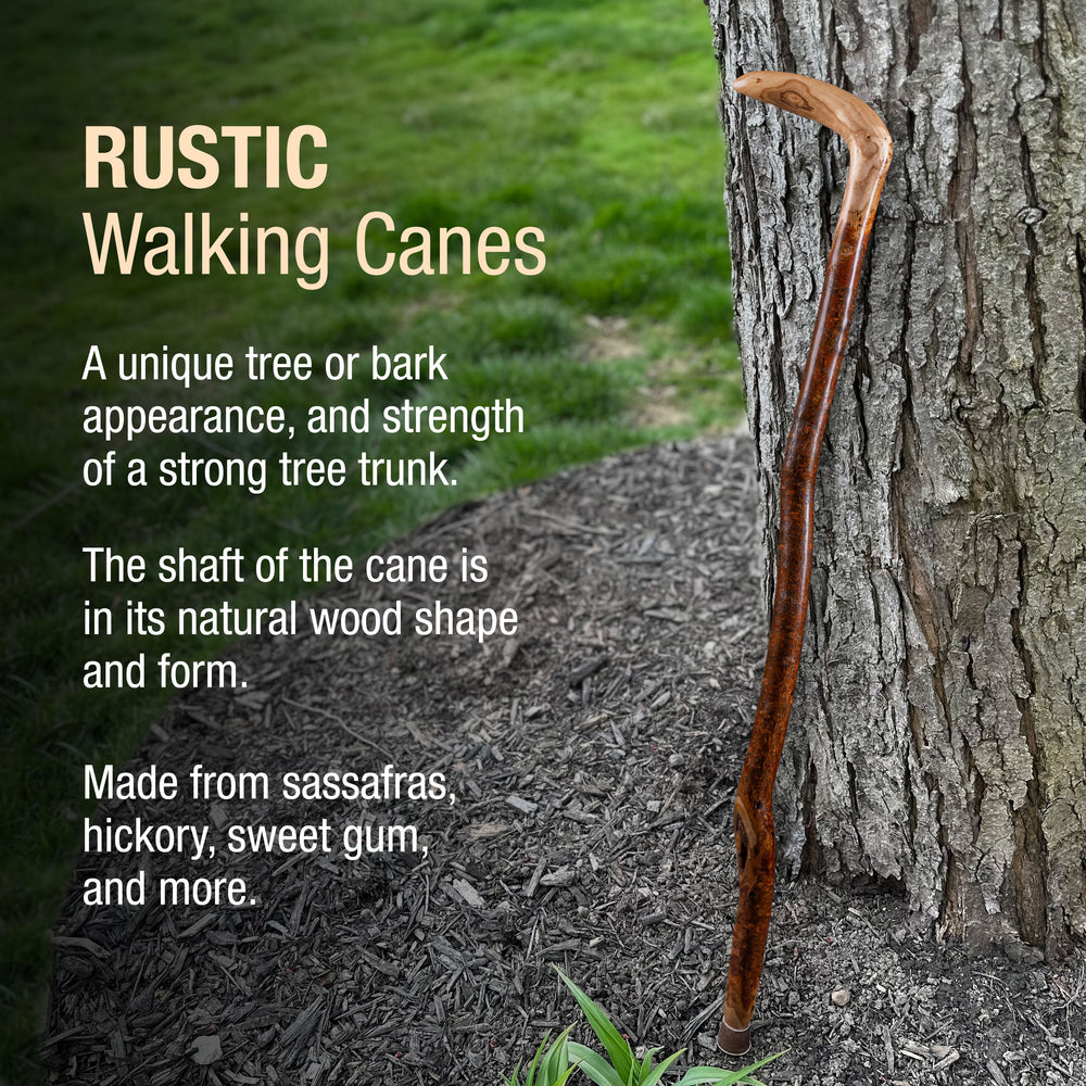 
                  
                    Assorted Hardwood Root Rustic Walking Cane
                  
                