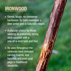 
                  
                    Ironwood Rustic Walking Stick
                  
                