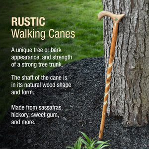
                  
                    Twisted Hickory Derby Rustic Walking Cane
                  
                
