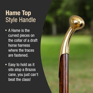 
                  
                    Twisted Cocobolo Hame Top Handcrafted Walking Cane 37"
                  
                